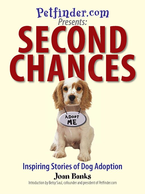 Cover image for Second Chances
